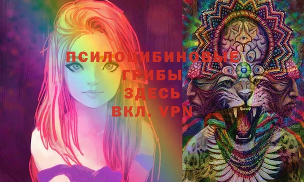 стафф Вязники